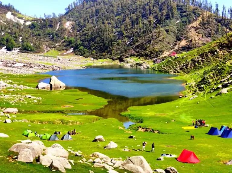 The Gaddi shepherds of the Dhauladhar: who they are and why it matters