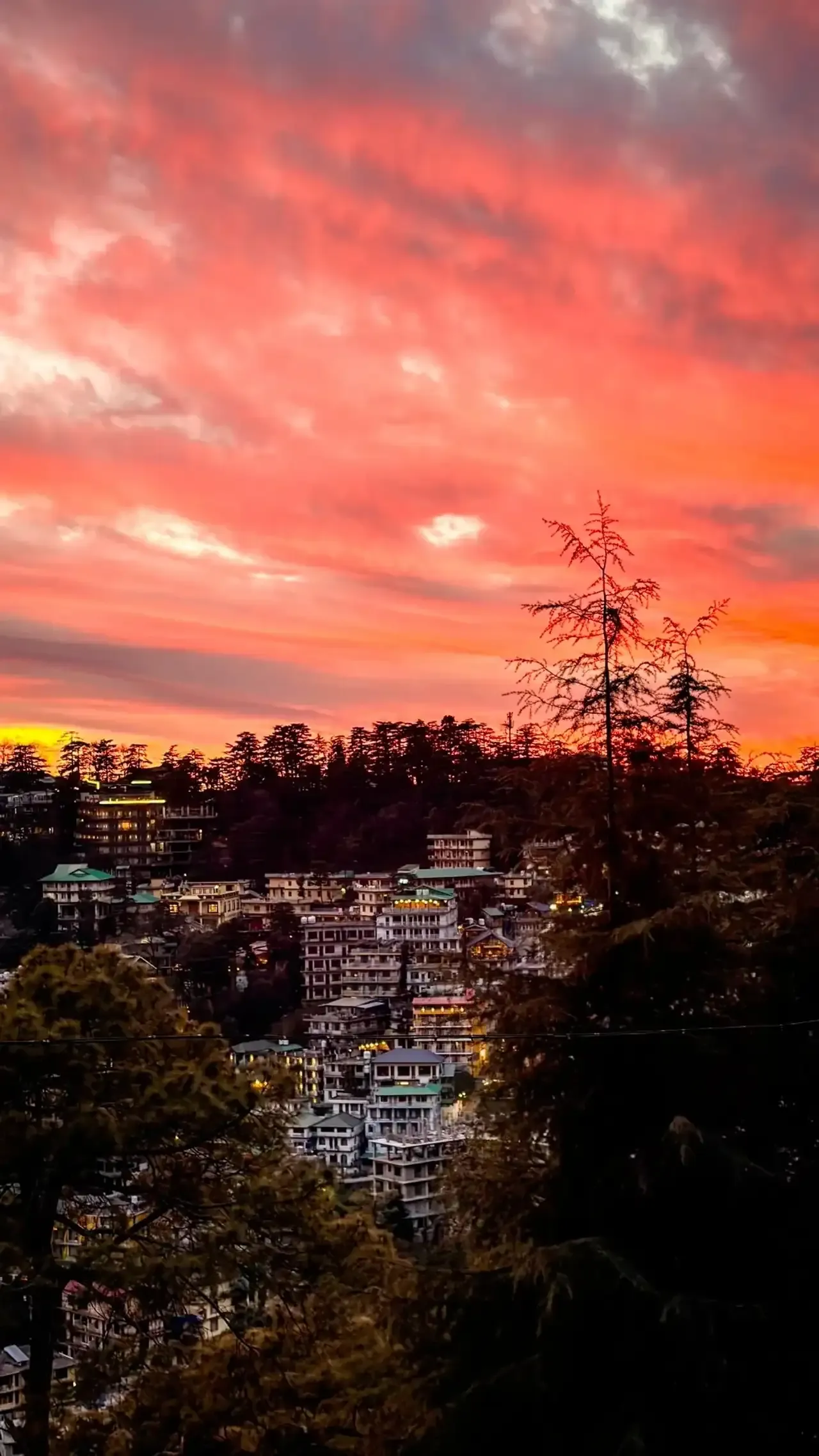 A local's alternate sightseeing day in Dharamshala