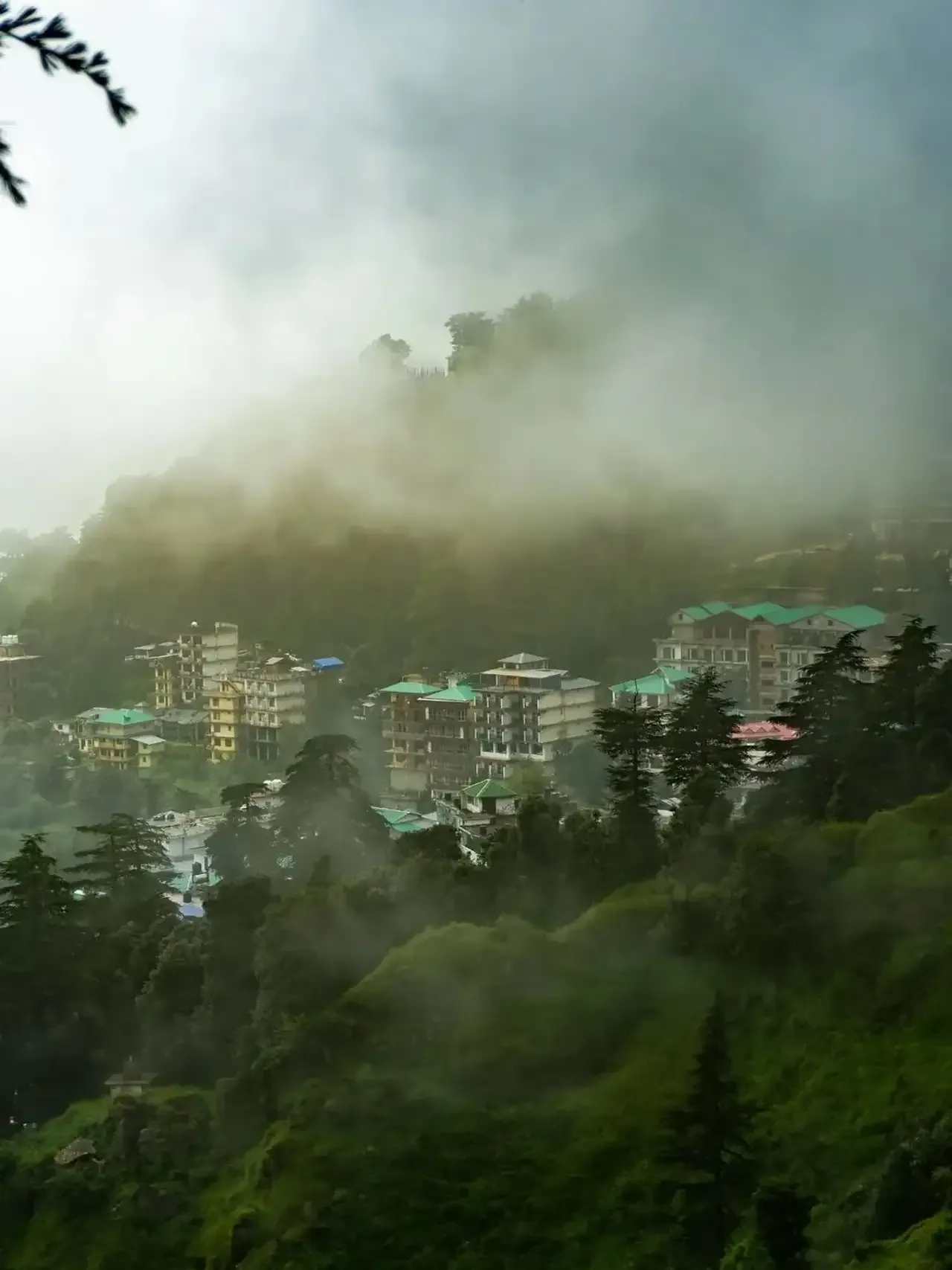 Winter in Dharamshala: what stays open, what closes, what you should know