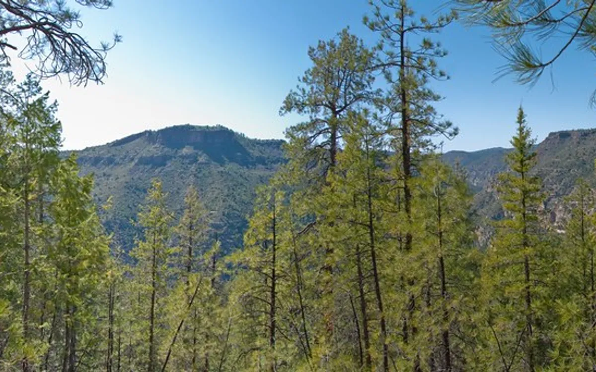Dharamkot: the Himalayas' hippie village, explained