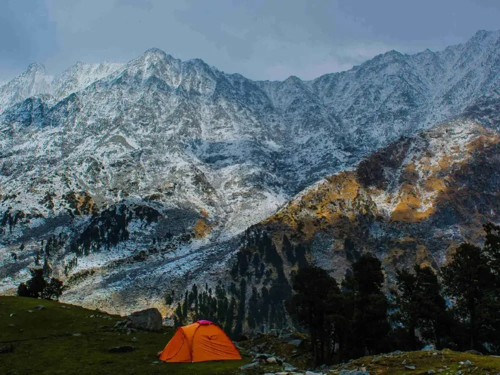 An orange tent pitched below the snow-dusted Dhauladhar wall