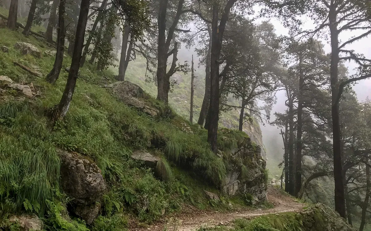Rajgundha Valley Trek — Billing → Rajgundha → Barot, Kangra, Himachal Pradesh