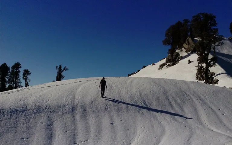 Snowline Trek