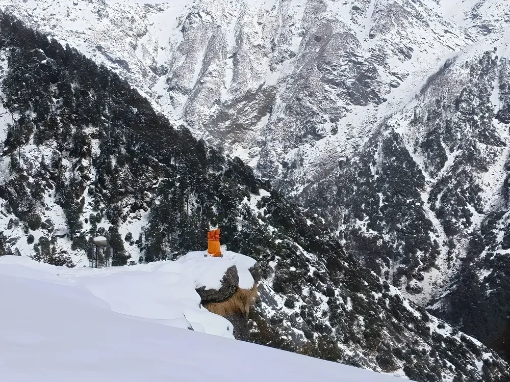 Triund Trek — Dharamshala / McLeod Ganj, Himachal Pradesh