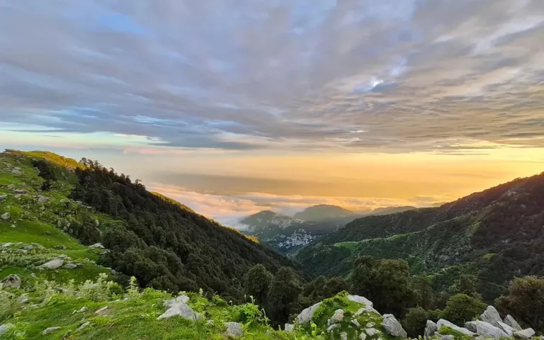 Triund Trek
